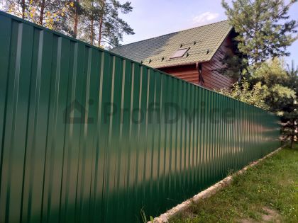 Мч и Профилсит зелёный на крыше и заборе