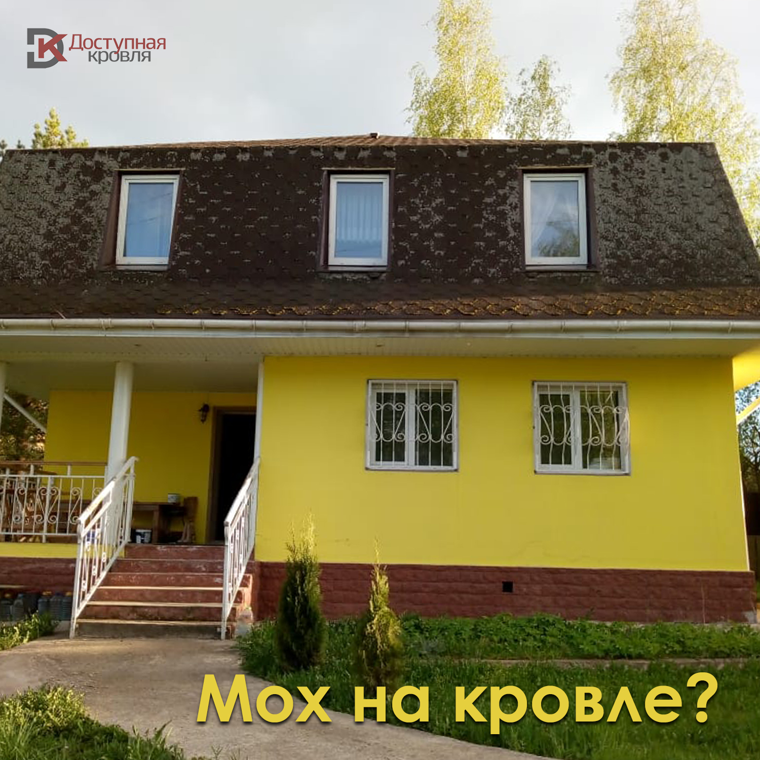 Мох на кровле?